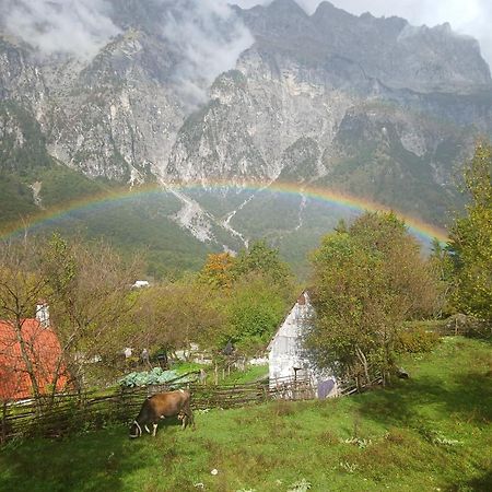 Bed and Breakfast Bujtina Milani Theth Exterior foto